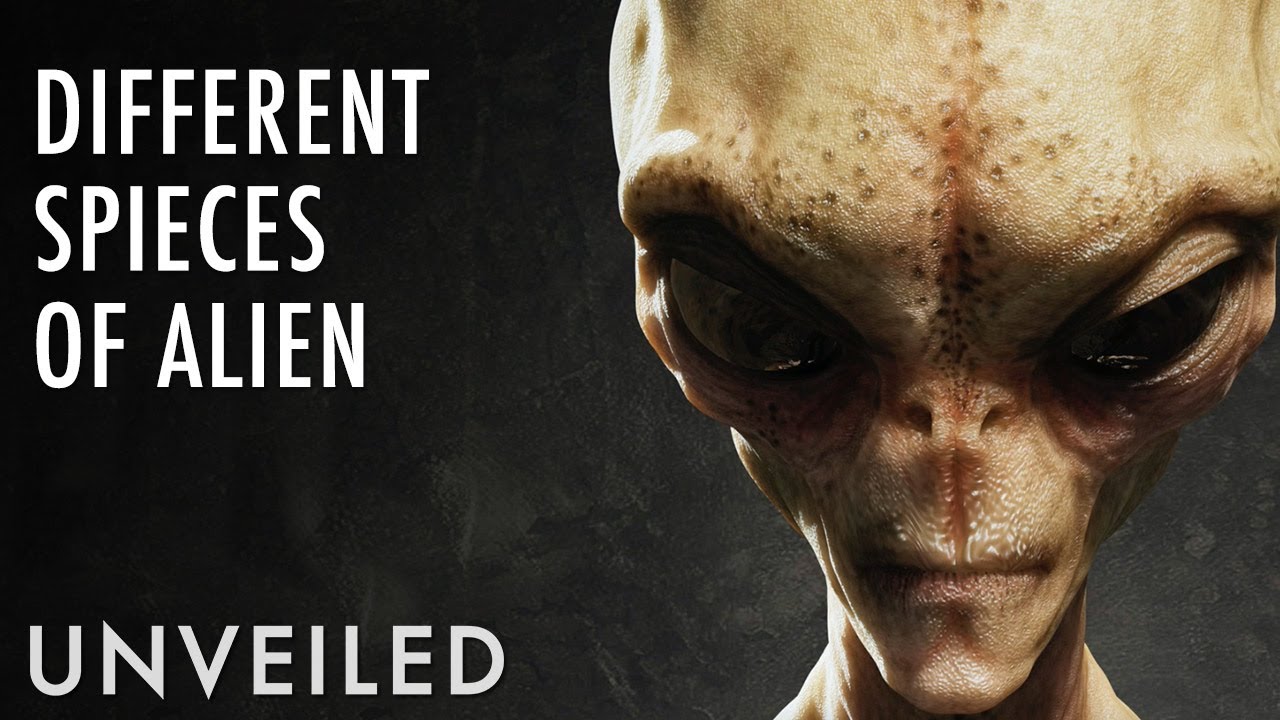The Different Types Of Alien You Should Know About Unveiled Go It The Different Types Of Alien You Should Know About Unveiled Go It