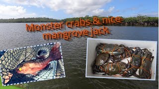 Monster crabs an nice mangrove jack/kauri creek