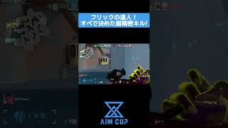 【VALORANT】フリックの達人!オペで決めた超精密キル!#shorts