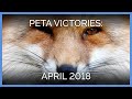 9 Victories for Animals in April!