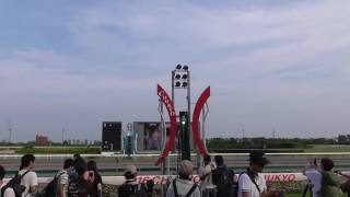 2016/7/24　中京競馬場　芝コース開放に行ってきた