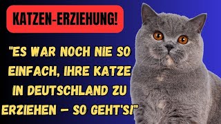 So wird deine Katze zum besten Begleiter Deutschlands – Schritt für Schritt