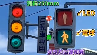 【地味レア？】250mm灯器\u0026赤がLED電球、青が電球の謎信号機（新潟県）