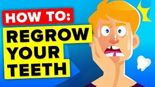 Here Is How You Regrow Your Teeth (It’s Happening Right Now)