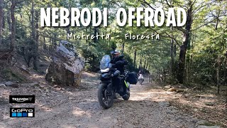 Dorsale dei Nebrodi Off-Road - Triumph Tiger 900 GT PRO