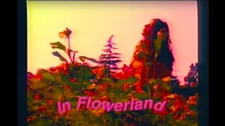 Pearl \u0026 The Oysters - Flowerland [Official Music Video]