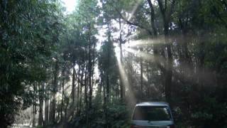 木漏れ日 2011.10.16 　岡崎市奥山田町 村積山