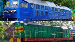 br232-052 i S200-273 w służbie BSK (Bałtycki Serwis Kolejowy) w akacji na 4 ujęciach.