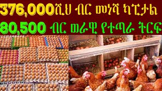 1000 እንቁላል ጣይ ዶሮ ስንት ብር ያስፈልጋል በ376,000ሺህ ብር ካፒታል በወር የተጣራ 80,500 ብር የተጣራ