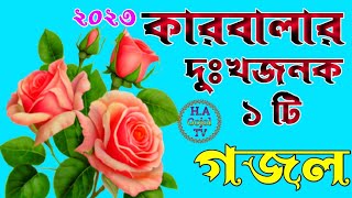 খুবই দুঃখজনক মায়াবী কন্ঠে একটি সেরা গজল || কারবালার ঘটনার অসাধারণ একটি দুঃখজনক গজল ||