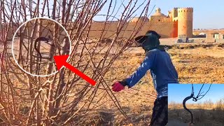 Winter, Time for Change! | Hasib Pruning Trees & Getting Ready for Spring