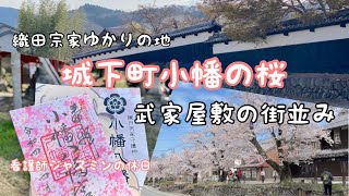 《城下町小幡・織田信長の系譜をたどり散策》