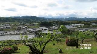 小山田遺跡から小山田古墳へ