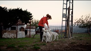 Pepi Rincón. Una vida dedicada a sus animales.