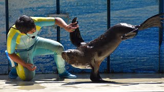 2022.04.06 13:00 きずな/kizuna 【新江ノ島水族館】