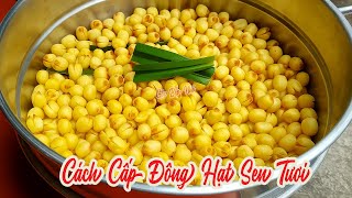 Cách Cấp Đông Hạt Sen Tươi Dùng Cả Năm Vẫn Tươi Ngon| Góc Bếp Nhỏ