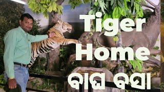 Home Of Tiger.. ବାଘ ବସା। Beautiful Spot Ramatirtha Similipala to visit@Eknowledgeodisha456