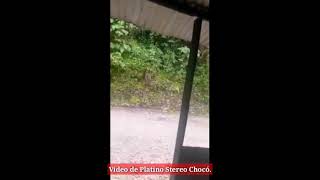 Enfrentamientos en Chocó, al parecer ELN y AGC