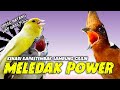 POWER MELEDAK!!!! KANARI KAPAS TEMBAK SAMBUL CILILIN PANJANG || KAWAL TERUS MURAI BATU TROTOL