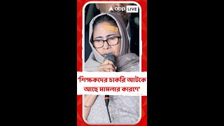 'শিক্ষকদের চাকরি আটকে আছে মামলার কারণে', কী বললেন মমতা ?