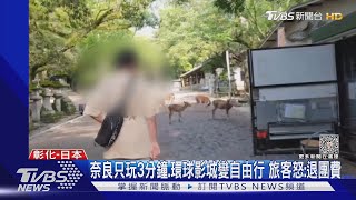 奈良只玩3分鐘.環球影城變自由行 旅客怒:退團費｜TVBS新聞 @TVBSNEWS01