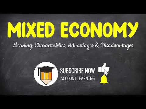 What is the primary disadvantage of a mixed economy?