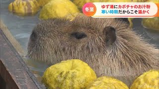 きょうは「冬至の日」　各地で「ゆず湯」や「カボチャのお汁粉」　寒い時期だからこそ温かく