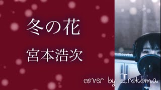 【女性が歌う】冬の花　宮本浩次 cover by Irokoma 【フル歌詞付き】