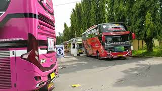 BIS VIRALL DIKAWAL POLISI😱!! KONVOI ROMBONGAN BUS TUNGGAL JAYA DI CANDI PRAMBANAN FULL TELOLET!!