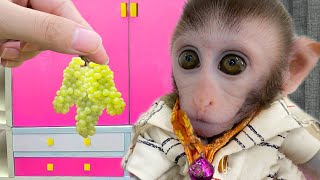 Baby Monkey Bim Bim Eats Mini Fruit and playing with the puppy and baby rabbit