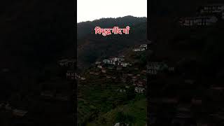 मी यकुली बिजी छों । narendra singh negi ji song #villagelife #nature #pahadihardlife