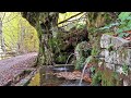 asturias ruta de otoño desde bezanes a la vega de braÑagallones parque natural de redes