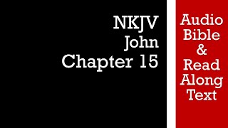 John 15 - NKJV (Audio Bible & Text)