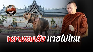 พลายเอกชัย หายไปไหน #พระสิ้นคิด #ครูบาฉ่ายคัมภีรปัญโญ #พลายเอกชัย