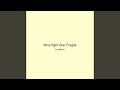 Moonlight Star Fragile