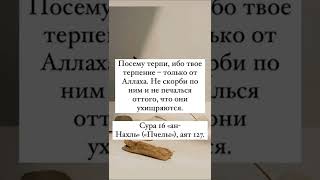 Посему терпи, ибо твое терпение – только от Аллаха. Не скорби по ним и не печалься оттого, что они