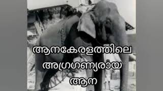 ആന കേരളത്തിലെ അഗ്രഗണ്യരായ ആന പാപ്പാൻമാർ.......