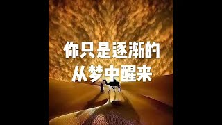 201603 你只是逐渐地从梦中醒来21686