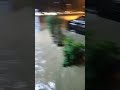 Bandar karak dah banjir