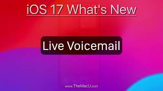 How to use Live Voicemail in iOS 17 for iPhone!