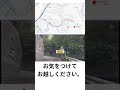 ヤングパワーズ　 シルバー公園　 横浜市歌　とともに　 youtubeshorts ショート 中学