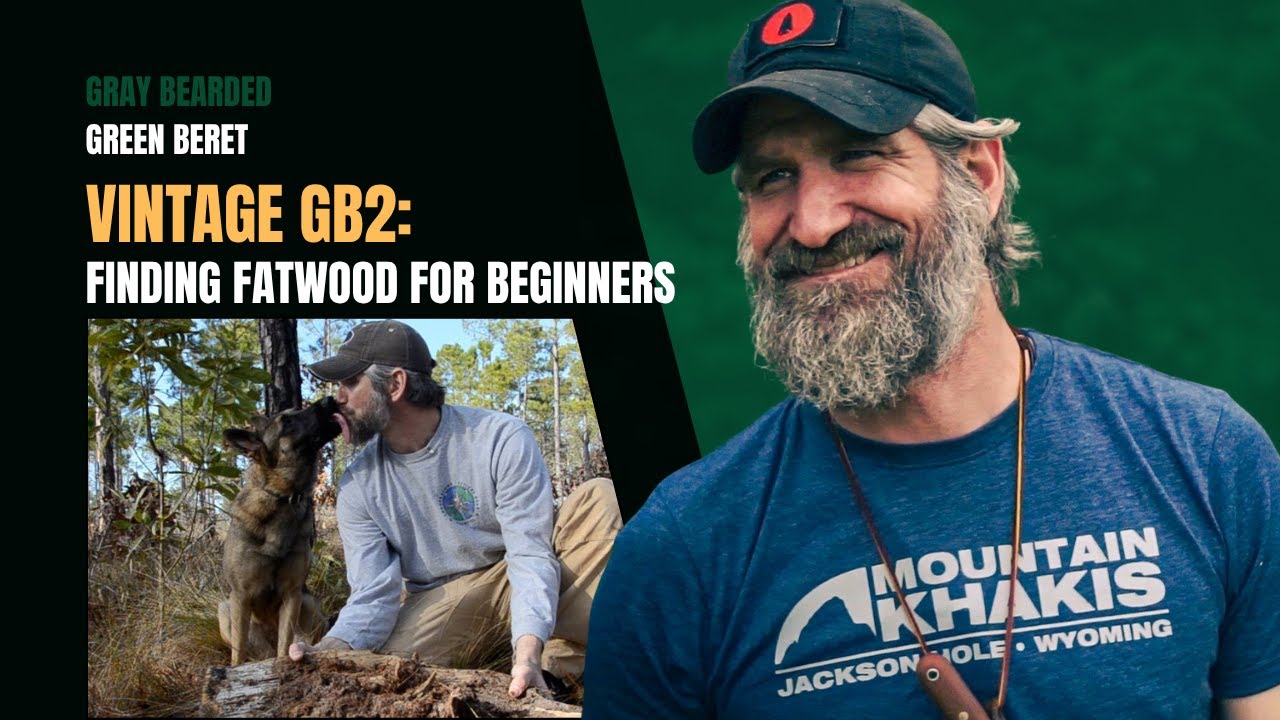 Finding Fatwood For Beginners Youtube