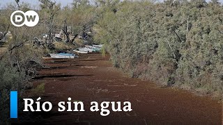 Se seca el segundo río más largo de Sudamérica