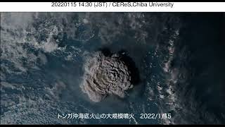 [ひまわり8号]（４K）2022年トンガ沖海底火山の大規模噴火 / CEReS, Chiba University