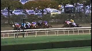 Squirtle Squirt - 2001 Breeders' Cup Sprint