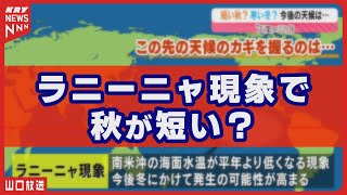 【ラニーニャ現象】もたらす季節の変化とは？『天気のミカタ』