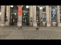 Paris ducks enjoy a night out as lockdown keeps humans indoors | AFP