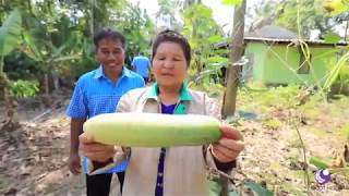 กรมพัฒนาที่ดิน - ศูนย์เรียนรู้การใช้ที่ดินอย่างยั่งยืน