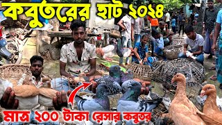 মাত্র ২০০ টাকায় রেসার কবুতর | আবাদের কবুতর হাট | kobutor hat 2024 | pigeon market in bangaldesh