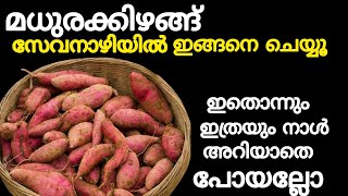 മധുരക്കിഴങ്ങ് സേവനാഴിയിൽ കറക്കൂ  | Sweet Potato Recipe | Madhurakkizhangu Palaharam | String Hopper